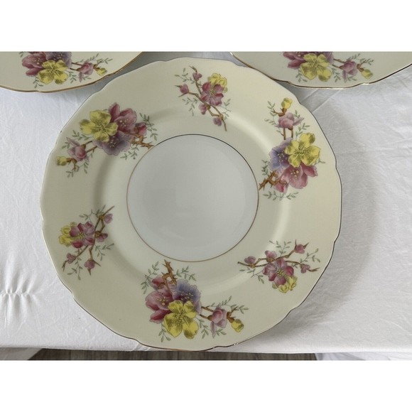 3 Apple Blossom (Cream Background) by BLACK KNIGHT Dinner Plate Made in Germany - Picture 2 of 9